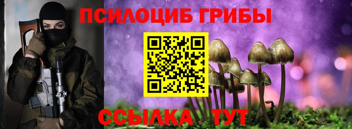 Галлюциногенные грибы мицелий Кольчугино